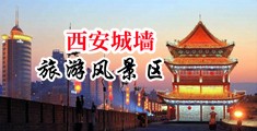 大鸡巴操大奶子落体美女中国陕西-西安城墙旅游风景区